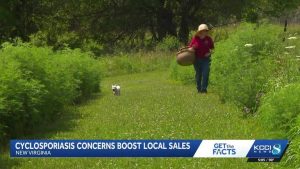 Iowa Farmers Prepare For Interest In Fresh Produce