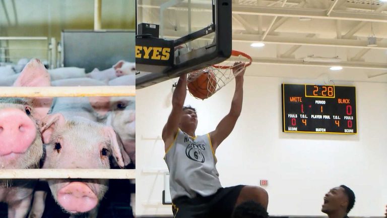 Iowa Hawkeye Recruit Balances Hoops And Pig Farming