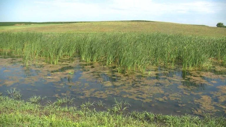 Iowa Water Quality Efforts