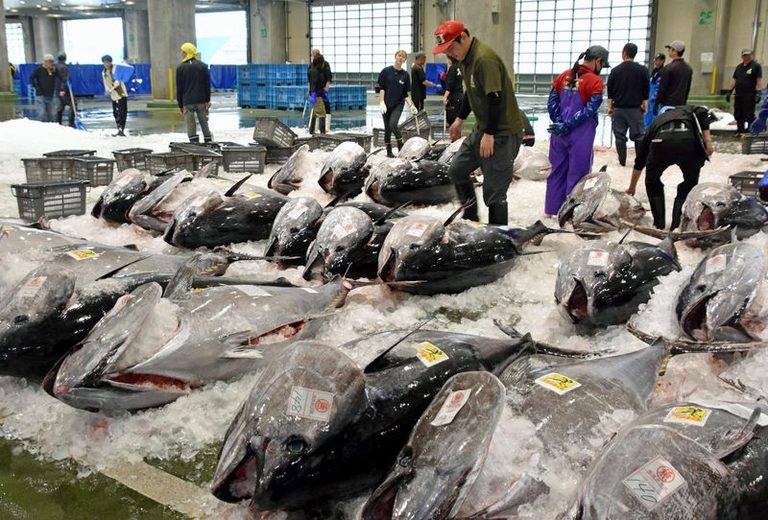Japan S Bluefin Tuna Quota