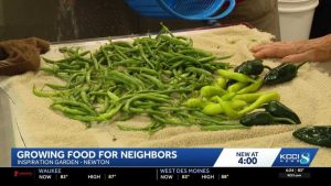 Jasper County Gardeners Donate Thousands Of Pounds Of Produce