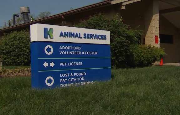 Kenton County Animal Shelter Hosts Adoption Special