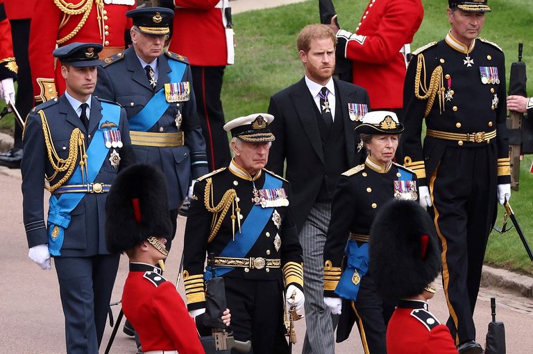 King Charles Hosts Prince Harry