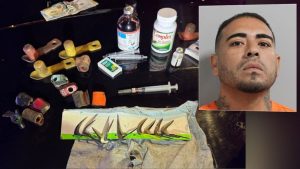 Lakeland Traffic Stop Leads To Cockfighting Arrest