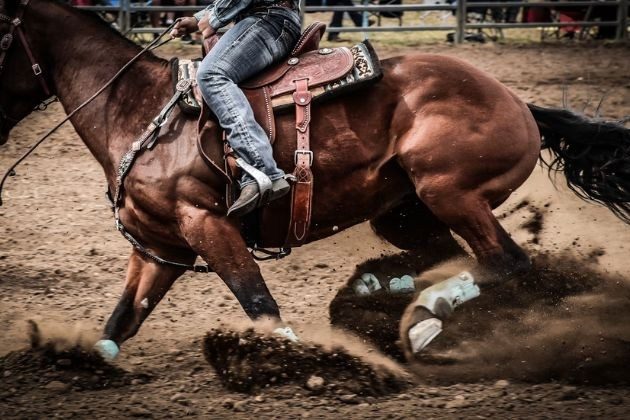 Laramie Jubilee Days History