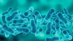 Legionnaires Outbreak Hits Nyc