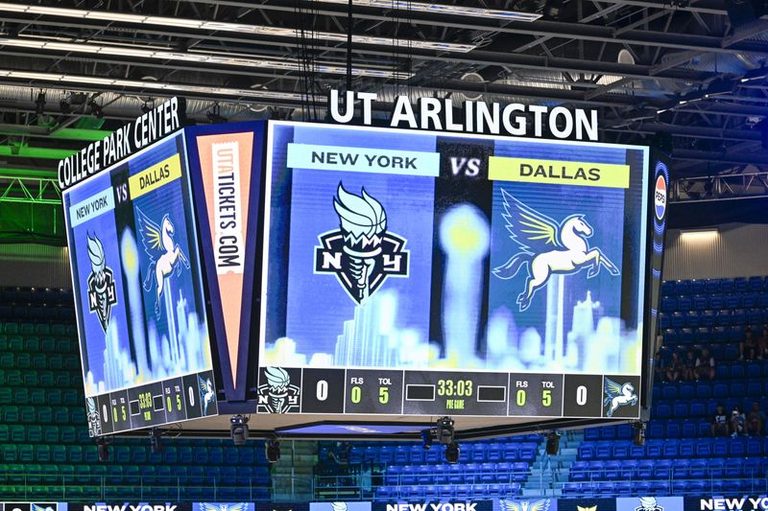 Liberty Wings Game Postponed