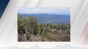 Lightning Strikes Near Mt Bachelor