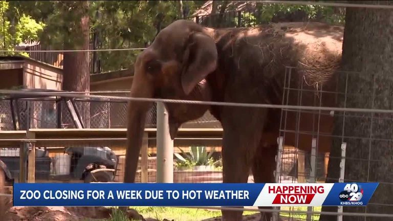 Little Rock Zoo Closes Due To Heat