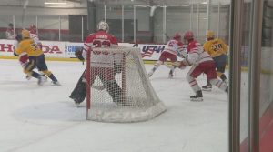 Local Hockey Players Selected