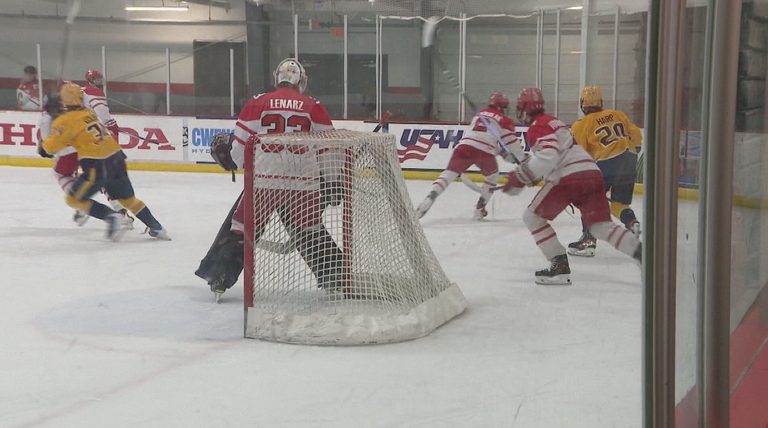 Local Hockey Players Selected