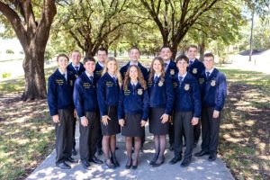 Local Student Elected Texas Ffa State Officer