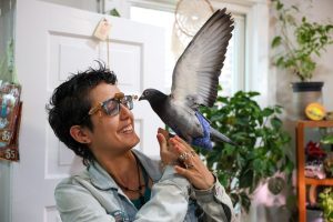 Logan Square S Famous Pet Pigeon