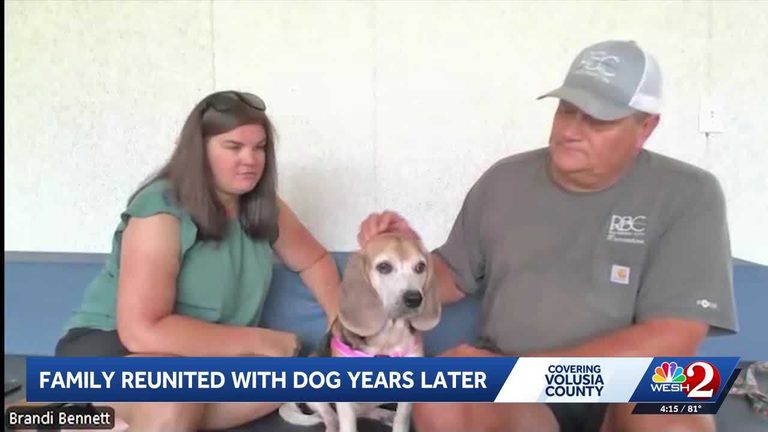 Lost Dog Reunited With Family