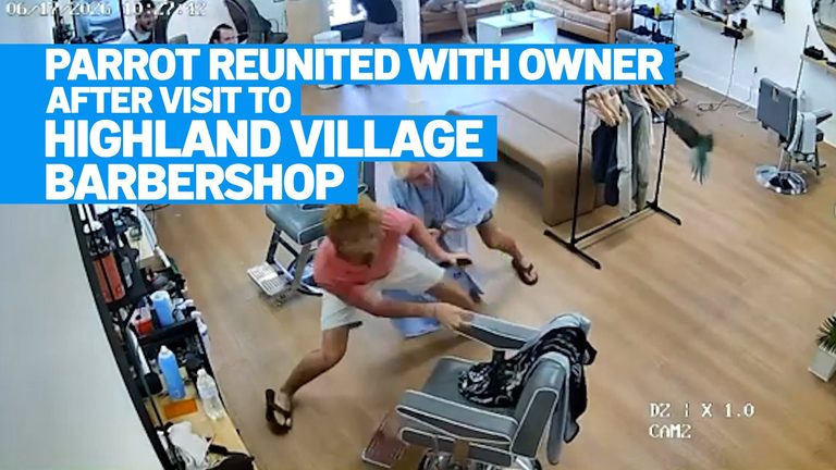 Lost Parrot Reunited With Owner In Highland Village