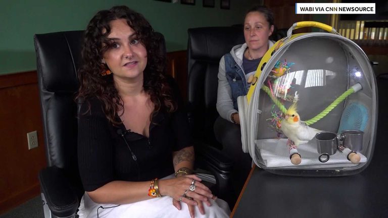 Lost Pet Bird Found At Ice Cream Shop