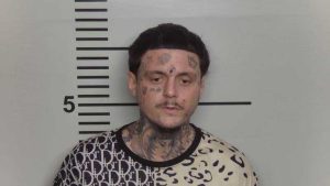 Louisville Man Arrested
