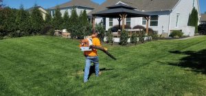 Lubbock Ordinance Prohibits Blowing Lawn Clippings Into Streets