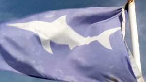 Maine State Park Closes To Swimming After Shark Sighting