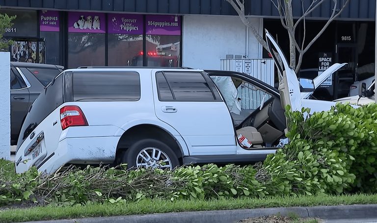 Man Arrested After Crash Chase In Pembroke Pines