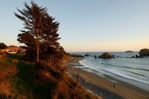 Man Loses Hand To Explosive Device On California Beach