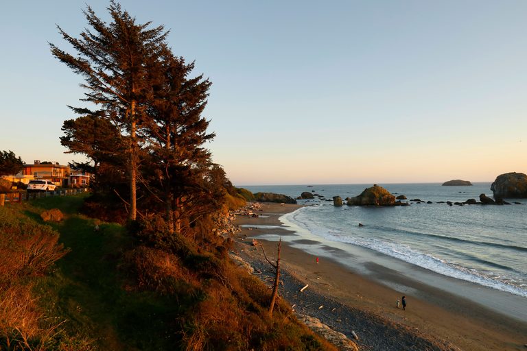Man Loses Hand To Explosive Device On California Beach