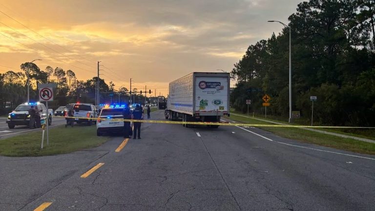 Man Running From Ice Agents Killed By Tractor Trailer