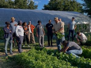 Maryland Invests 3 65M In Fresh Food Access