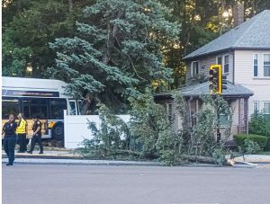 Mbta Bus Crashes In Mattapan