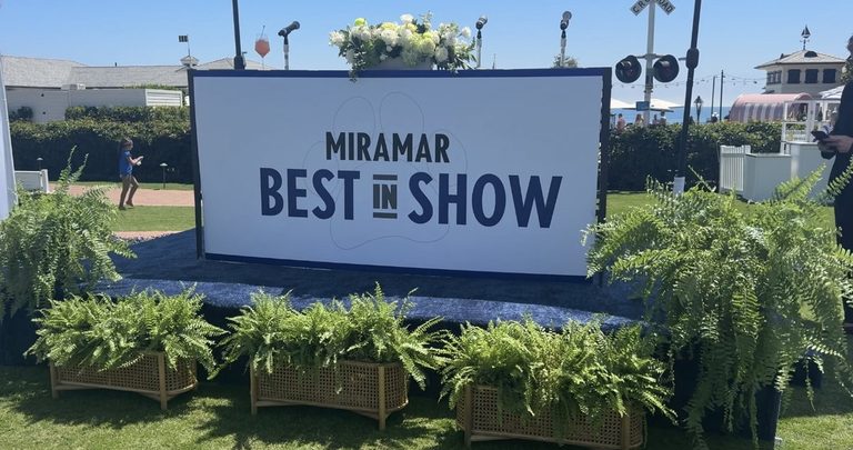 Miramar Best In Show Returns