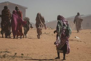 Most Support Refuge For Persecuted