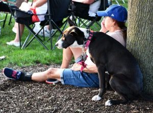 Naperville Park Rules