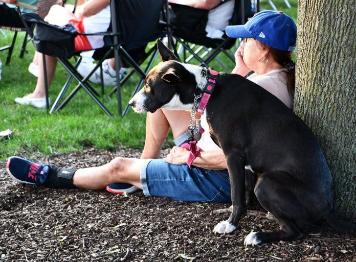 Naperville Park Rules