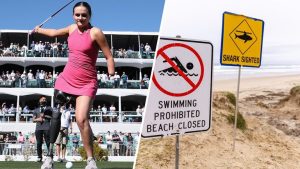National Shark Alert System