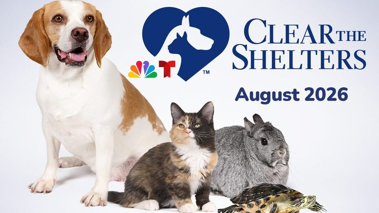 Nbc S Clear The Shelters Returns
