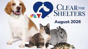 Nbc S Clear The Shelters Returns