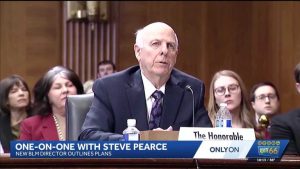 New Blm Director Outlines Priorities
