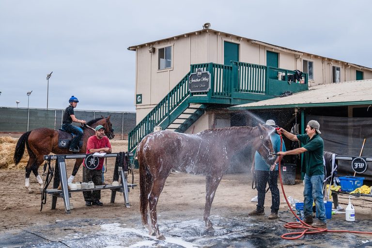 New Del Mar Fairgrounds Ceo