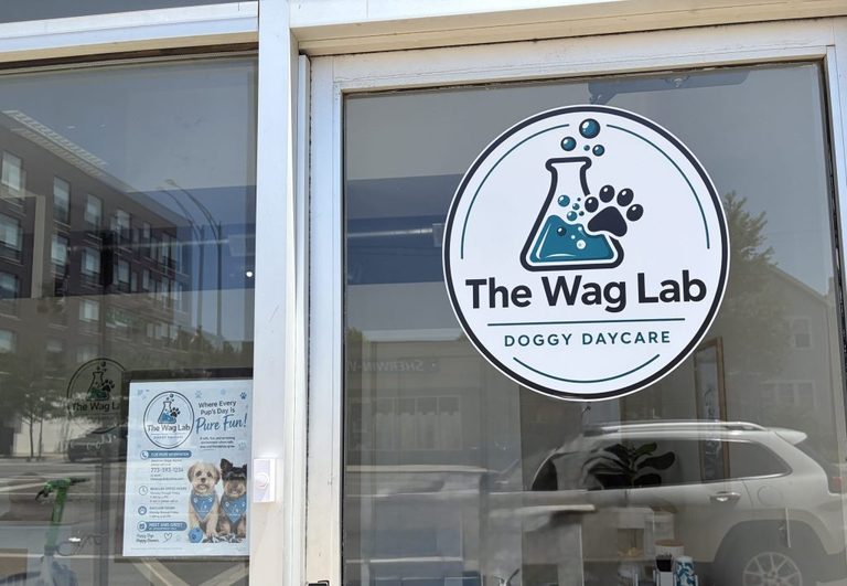 New Doggy Daycare In Bucktown Supports Homeless Pets
