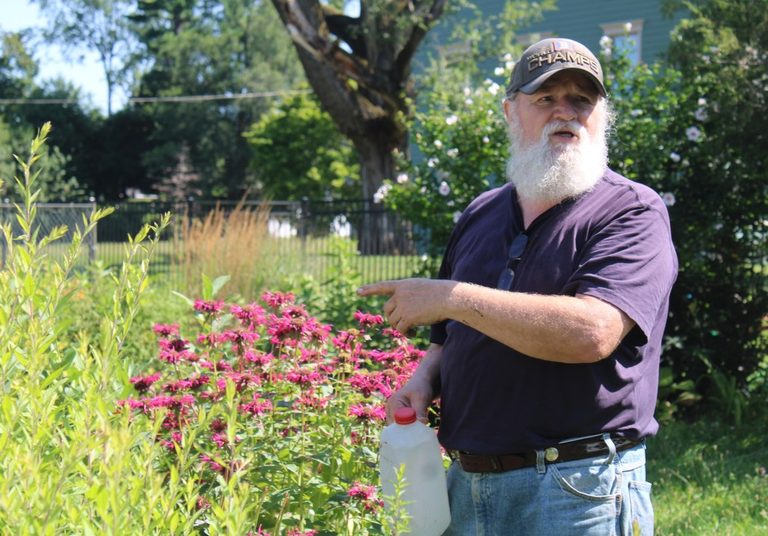 New Haven Gardeners Persevere