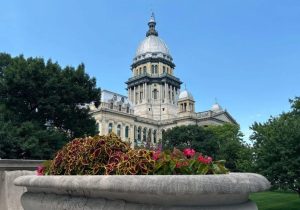 New Illinois Laws Take Effect