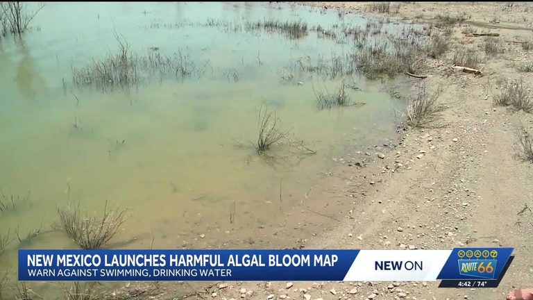 New Mexico Launches Algal Bloom Advisory Map