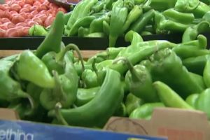 New Mexico State Fair Seeks Green Chile Cheeseburger Entries