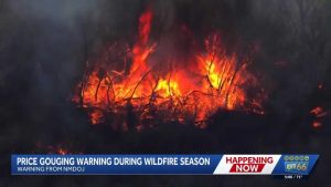 New Mexico Warns Of Wildfire Price Gouging