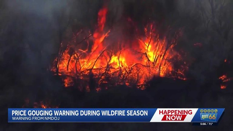 New Mexico Warns Of Wildfire Price Gouging
