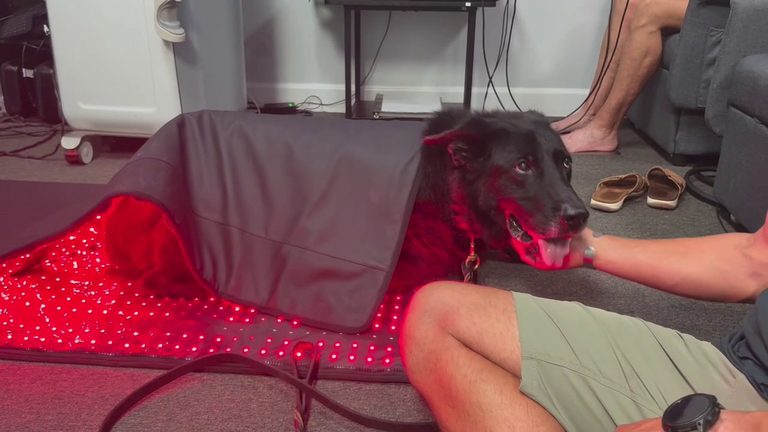 New Port Richey Cryotherapy
