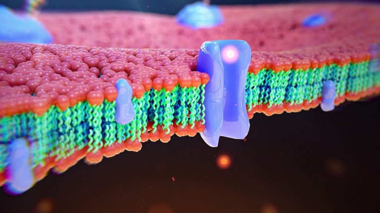 New Study Apob Cholesterol Test May Be Better