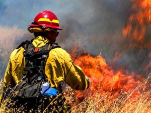New Wildfire In Crook County