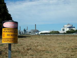 New Zealand Manufacturing Index Hits 5 Year High