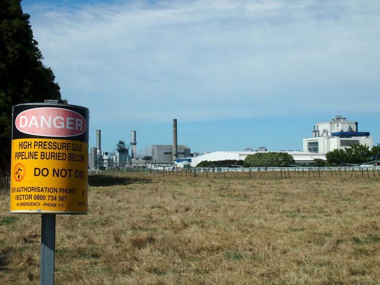 New Zealand Manufacturing Index Hits 5 Year High